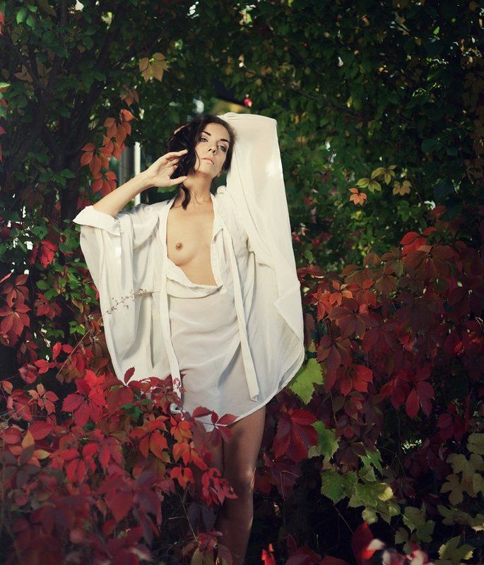 autumn фото превью