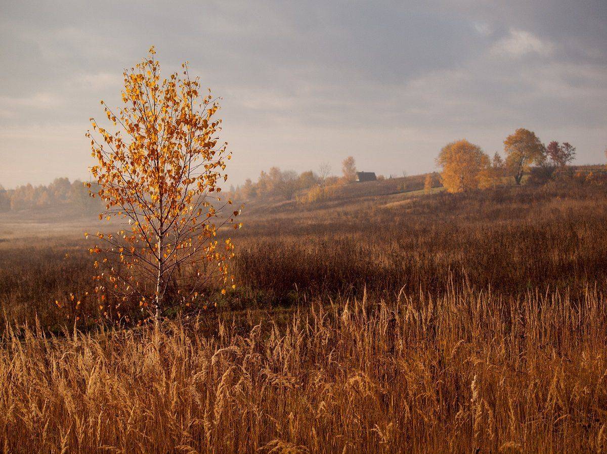 , Владимир Перепечаев