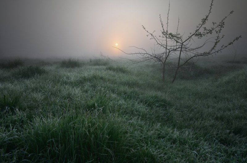 Туман, иней и тишина фото превью