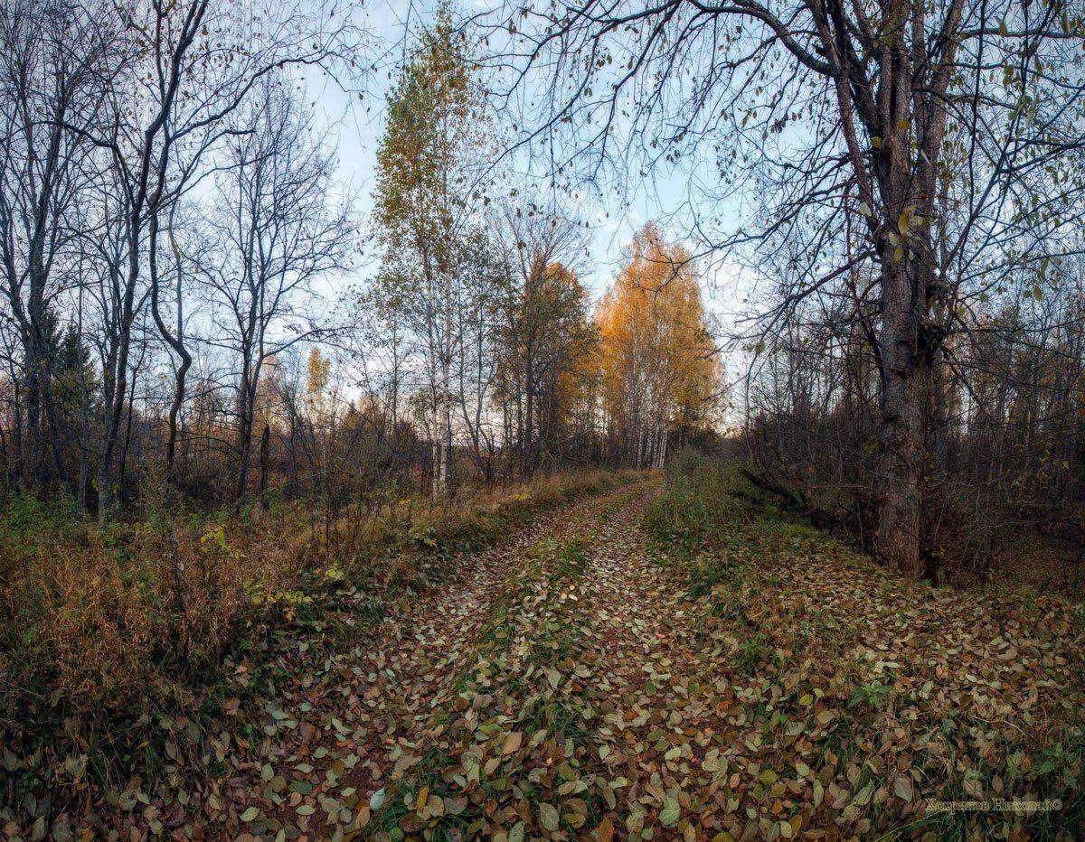 , Хохряков Николай