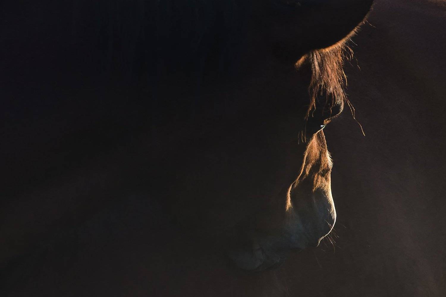 , Rimantas Bikulcius