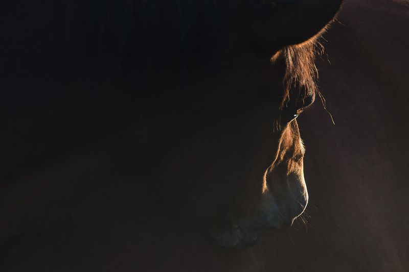 Грусть фото превью