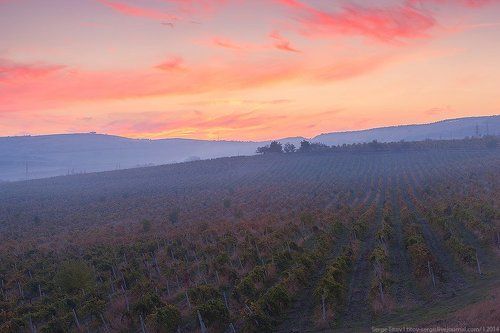 Крымское предгорье