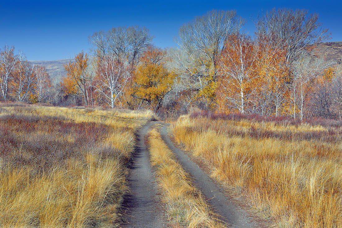 , Качурин Алексей