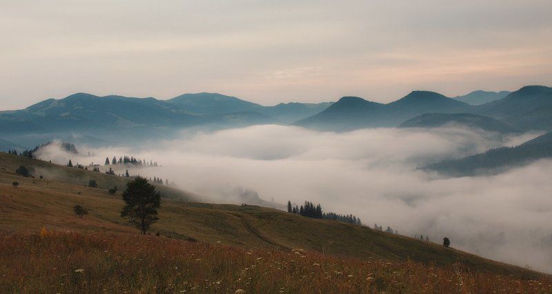 Над туманами фото превью