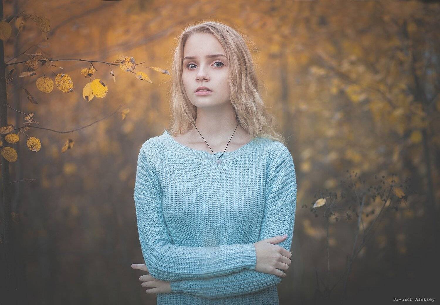 , Алексей Дивнич