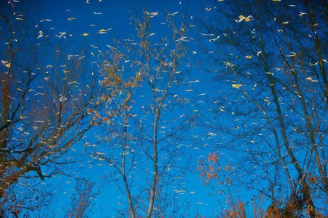 осень, Качурин Алексей