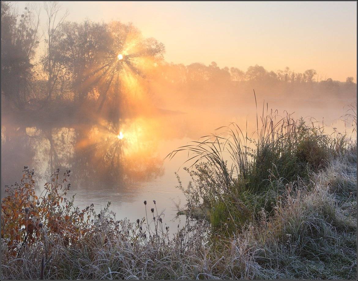 , Михаил (mgk)