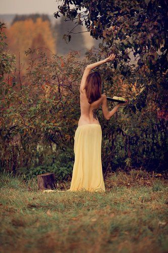 сборщица яблок