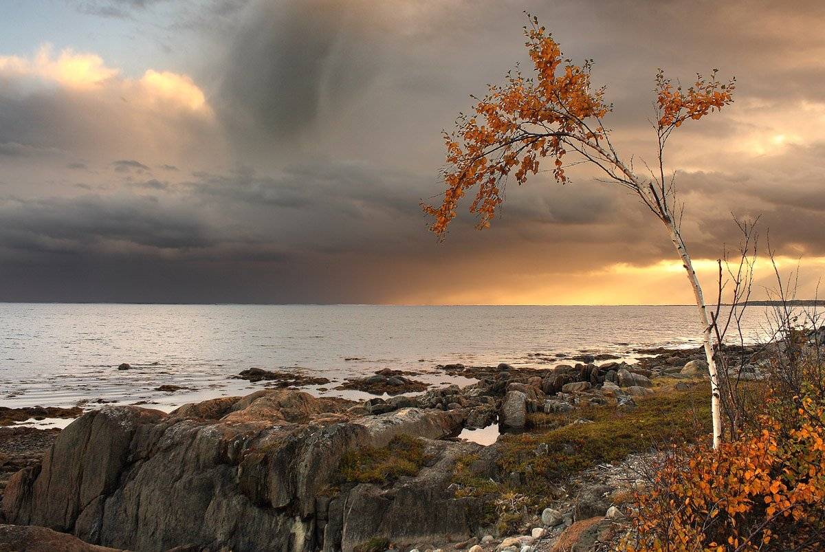 , Александр Коротков