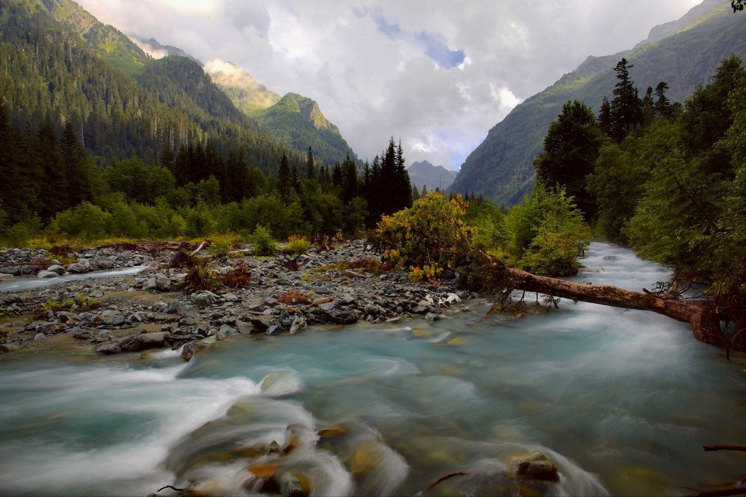 , Никифоров Егор