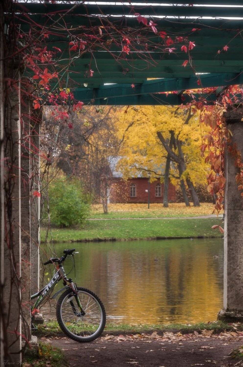 Ораниенбаум, Осень, Парк, Пейзаж, Анна Пакутина
