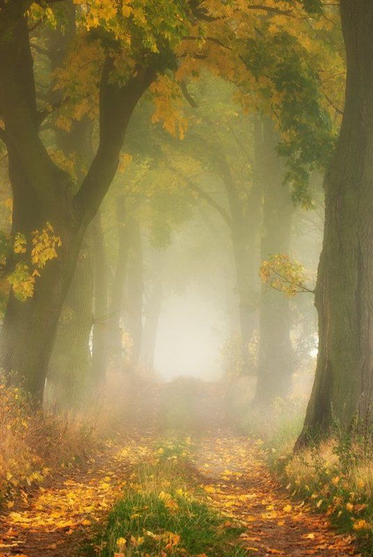 Autumn