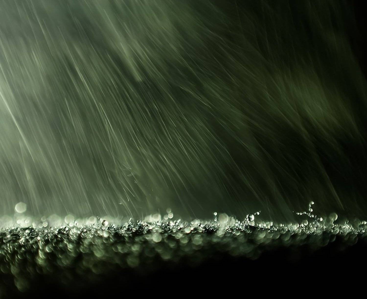 , Ивелина Благоева