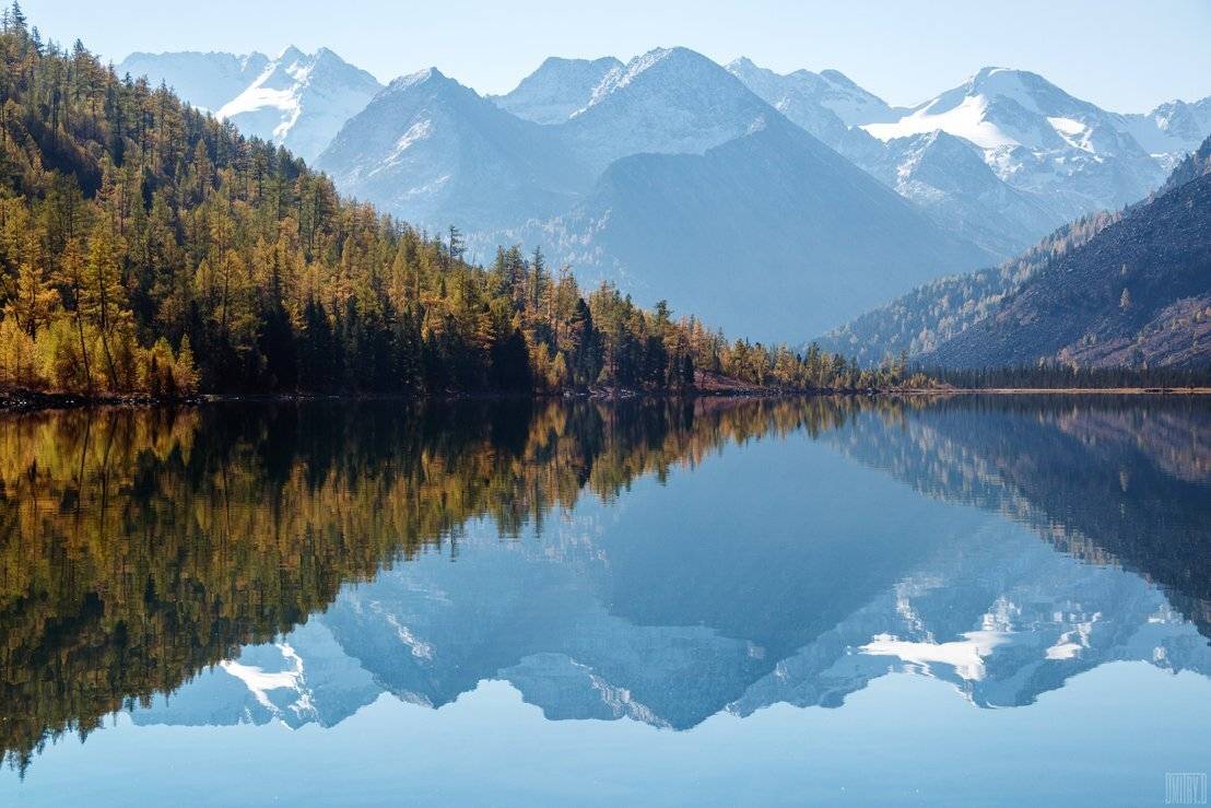 , Дмитрий Доронин