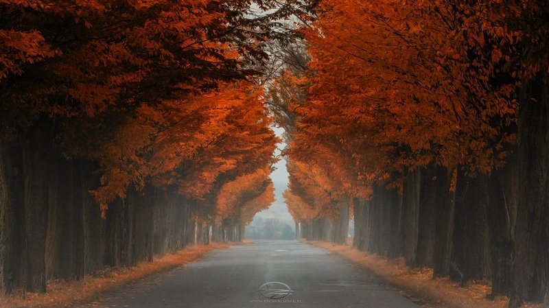 Road to... фото превью