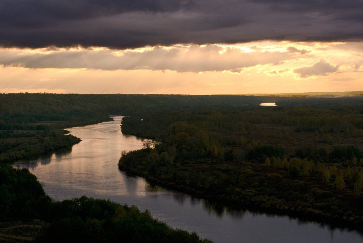 , Елизавета Шавардина