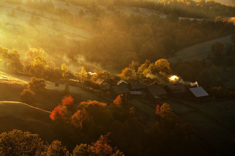 Golden Light фото превью
