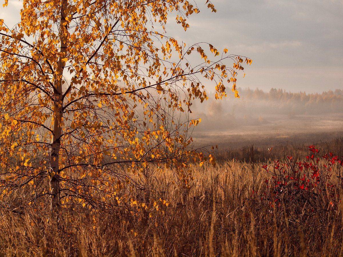 , Владимир Перепечаев
