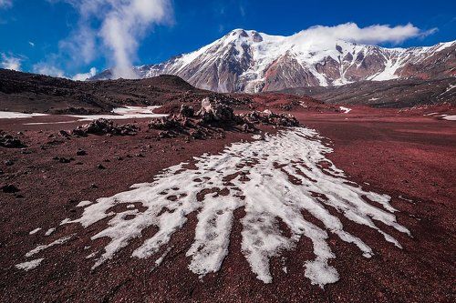 Дневные Толбачики