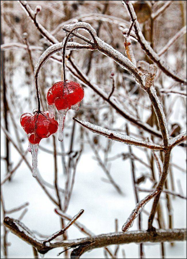 , Сергей Евдокимов