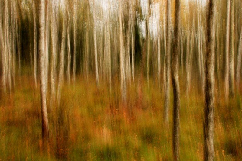 ~~ фото превью