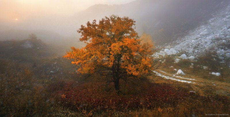 Золото осени фото превью