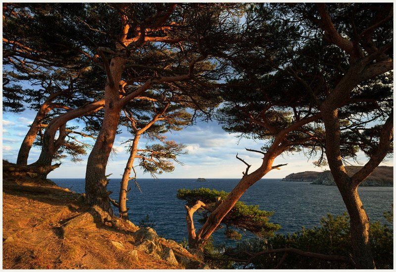 Ежегодное посещение фото превью