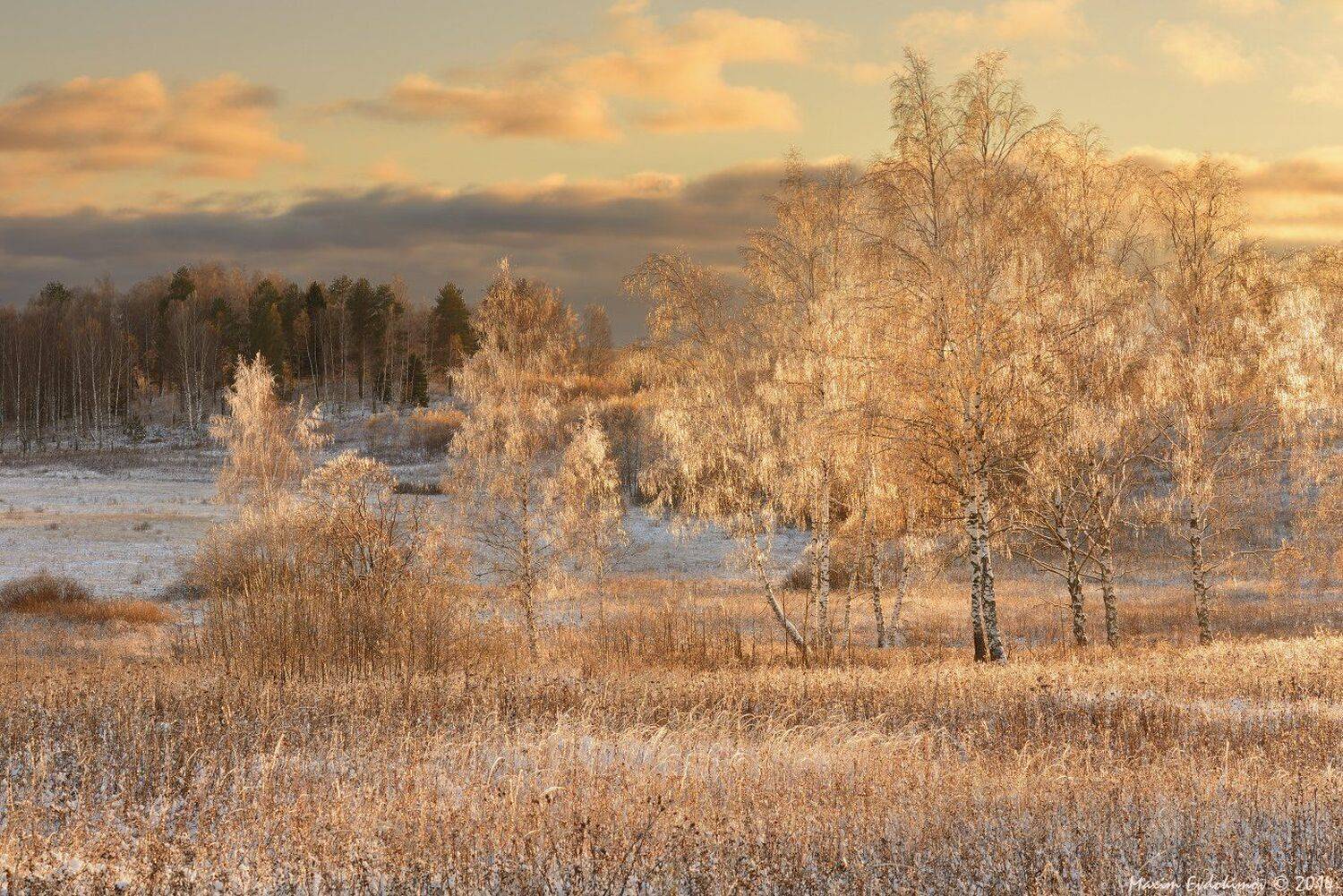 , Максим Евдокимов