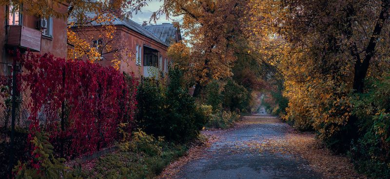 Осень в сталинках фото превью