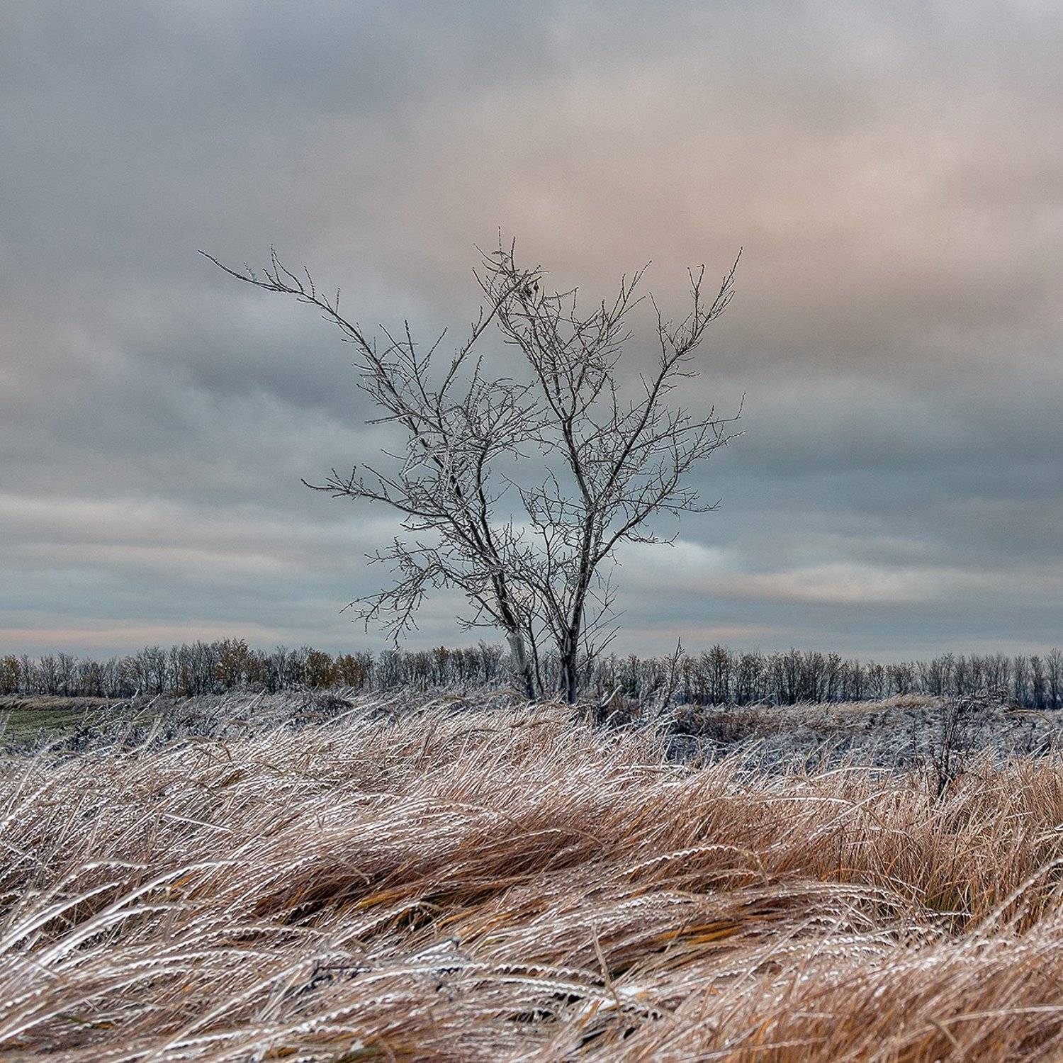 , Наиль Зоркий