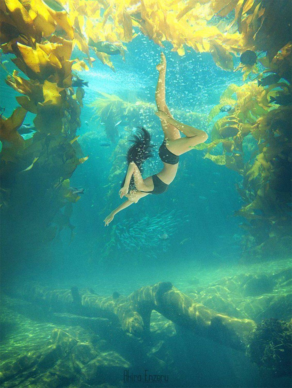 Ballerina, Ballet, Beauty, Dance, Diving, Portrait, Swan, Underwater, Enzeru Akira