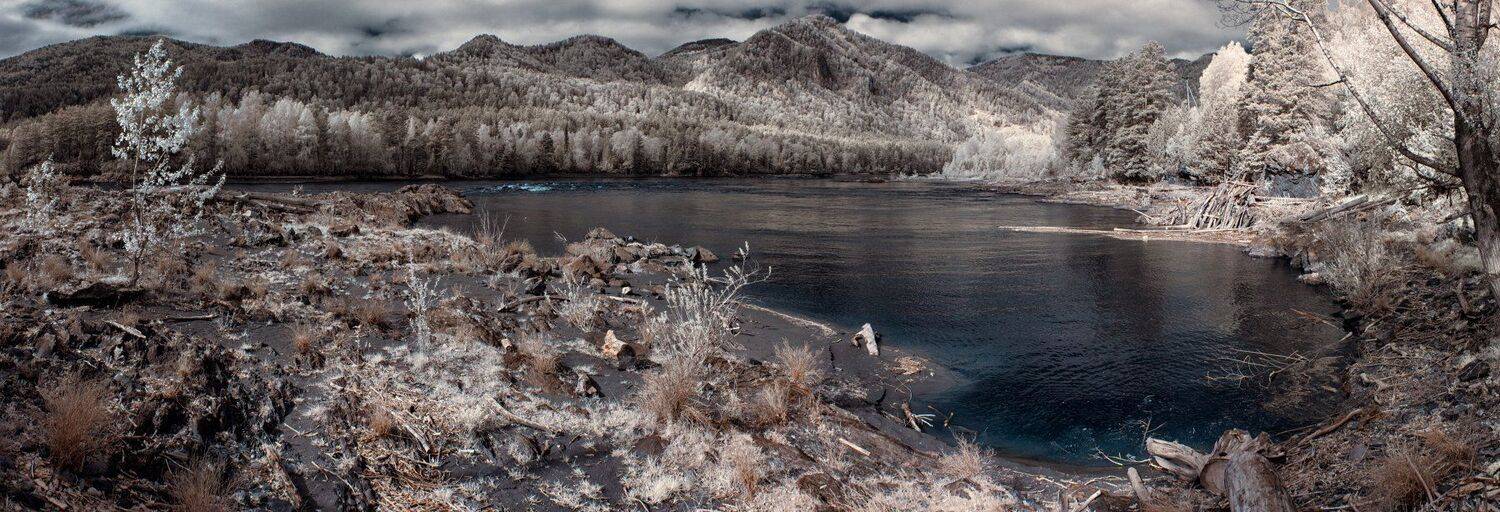 , Николай Ляпин