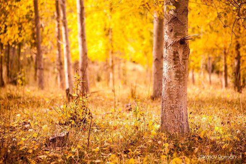 Осень в горах.