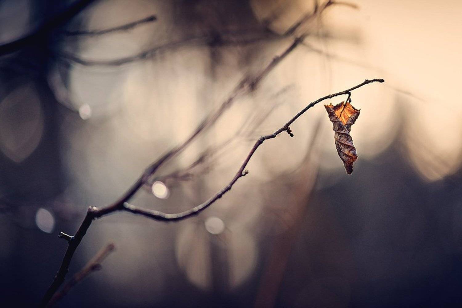 Осень, Александр Чорный