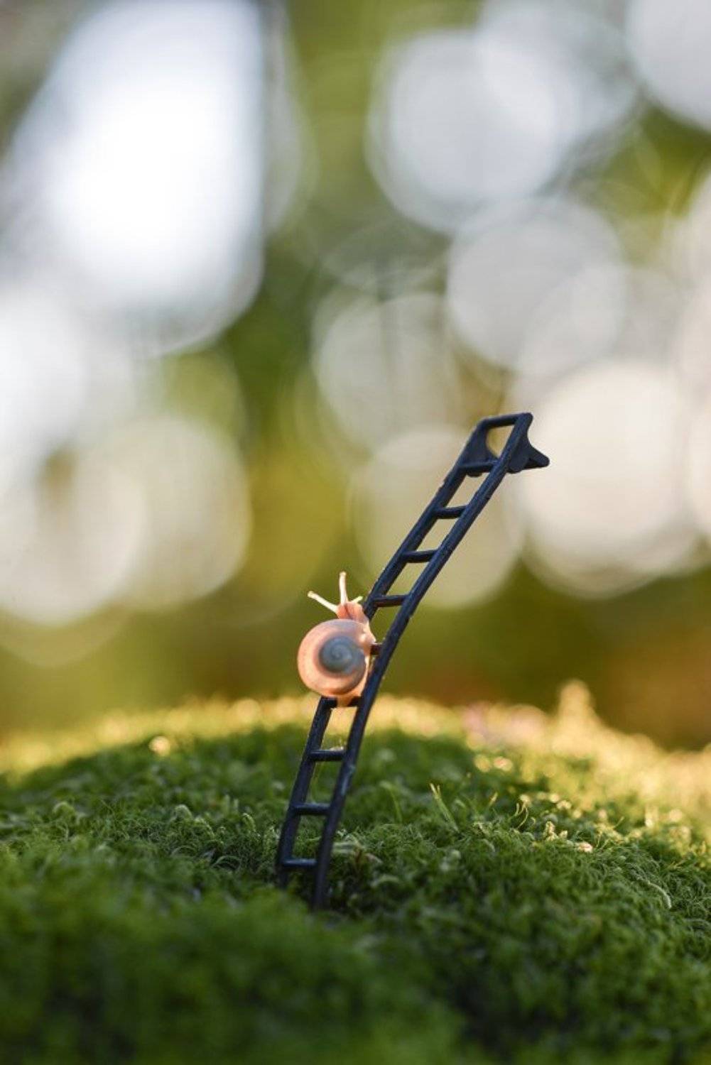 , Александр Чорный