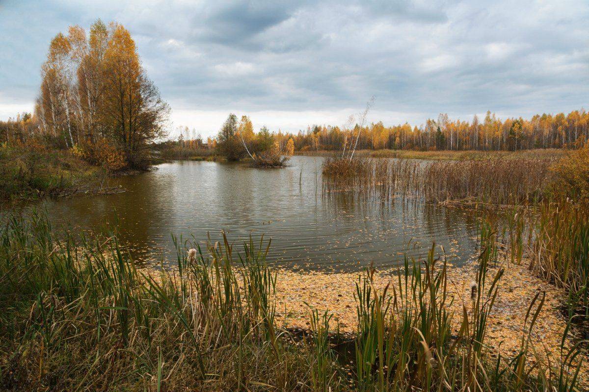 , Александр Удовиченко