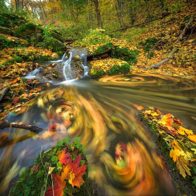 Завитки фото превью