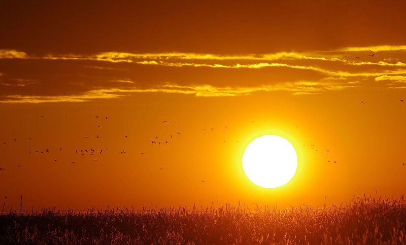 Kazakhstan, Sunrise, Turgay lowland, Восход, Казахстан, Озеро Талдыколь Равняясь на солнце фото превью