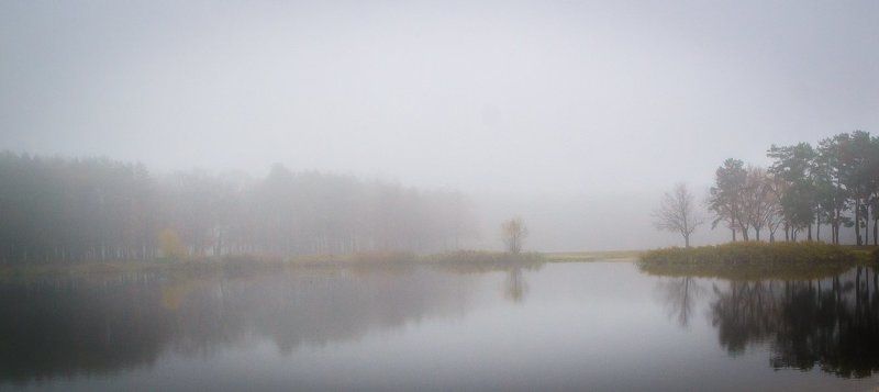 Лес, Озеро, Осень, Парк, Туман, Утро Туманные зарисовки фото превью