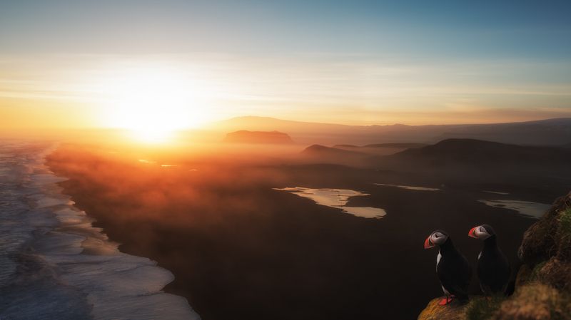 just another day... фото превью