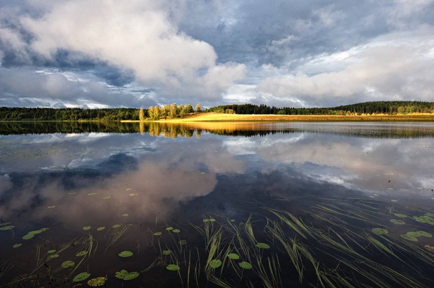 , Евгений Плетнев