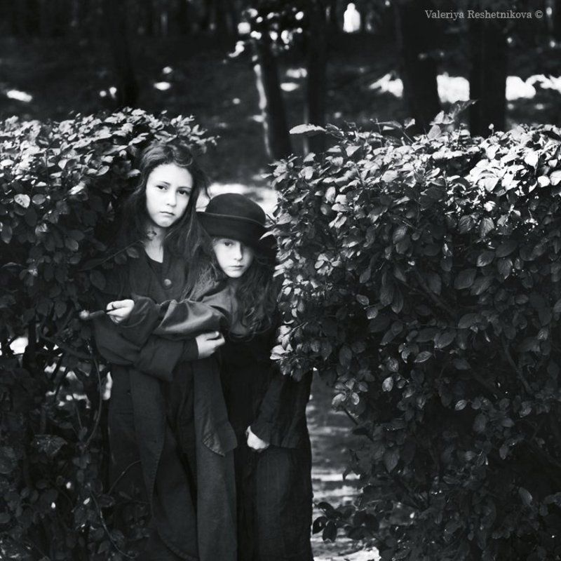 Пташки фото превью