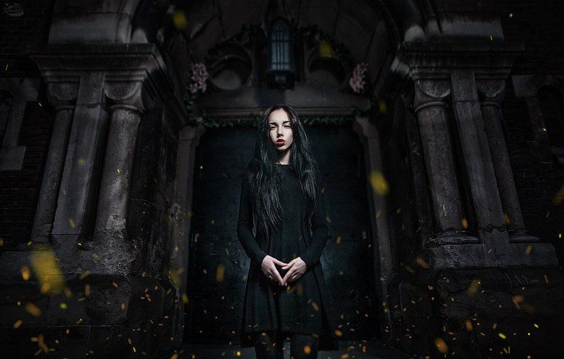 under your wings фото превью