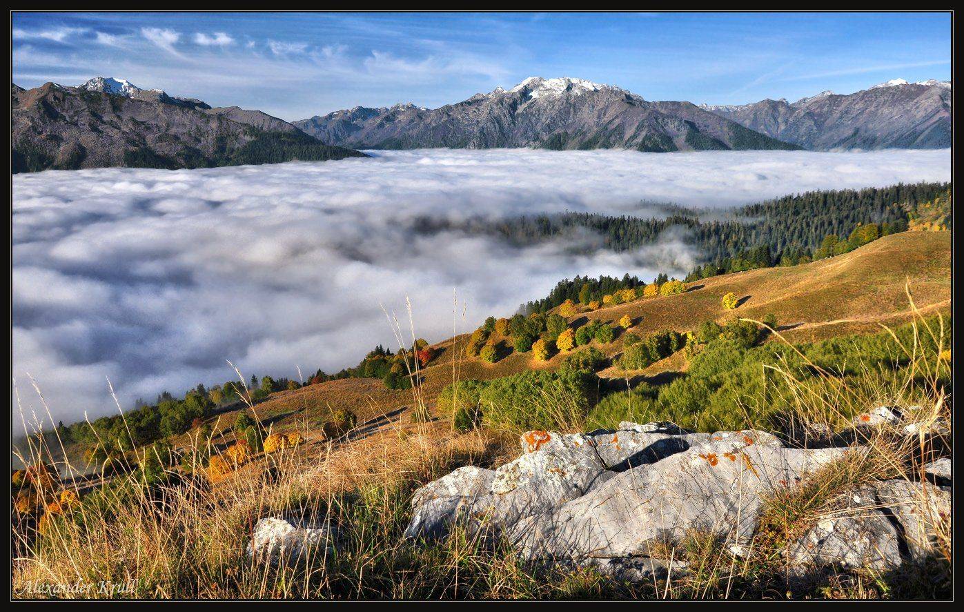 кавказ кчр, Александр Круль