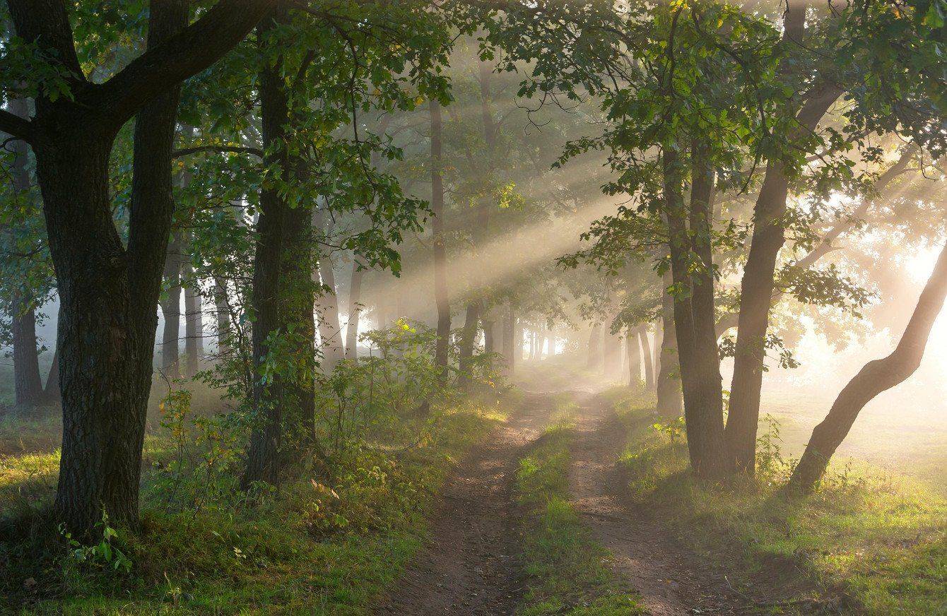 , Руслан Сигушин