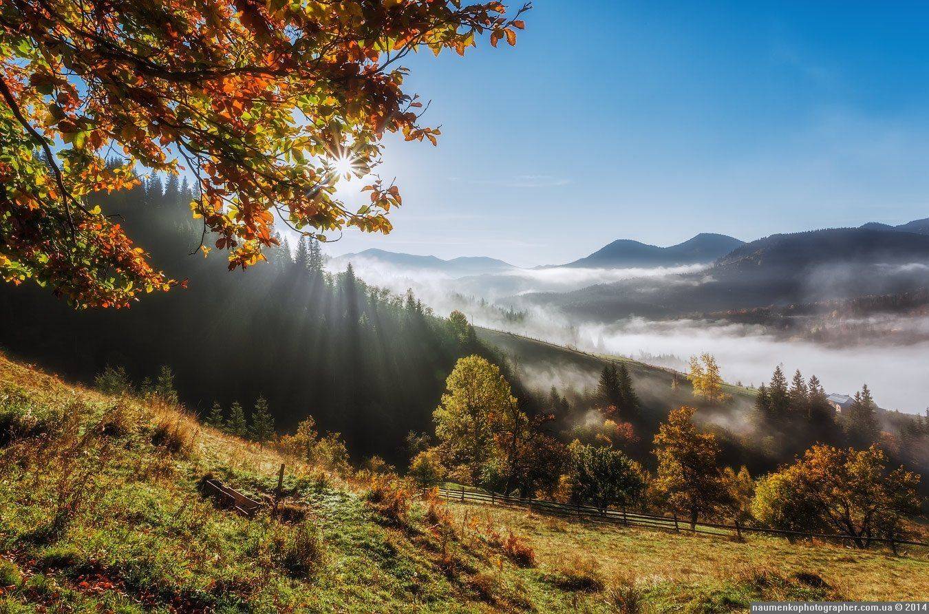 горы,	зеленый,	карпаты,	луг, природа,	рассвет,	роса, склон,	солнце,	трава,	туман, дземброня, Александр Науменко