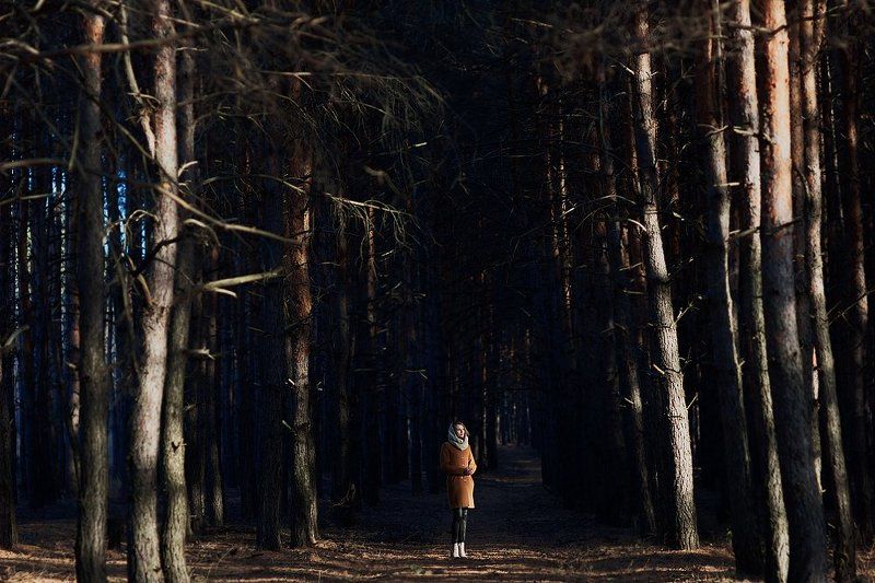 550D, 85 1.8, Canon, Canon 550D, Девушка, Лес, Осень, Свет, Солнце, Сосны, Тень *** фото превью