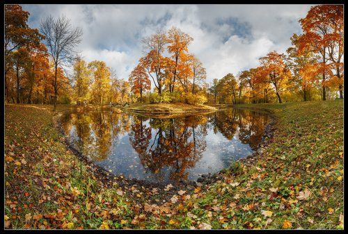 про_Свет Осени...