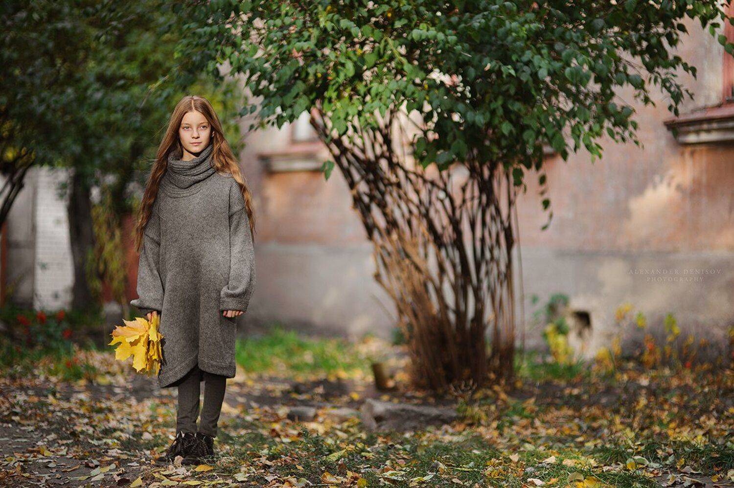 , Александр Денисов